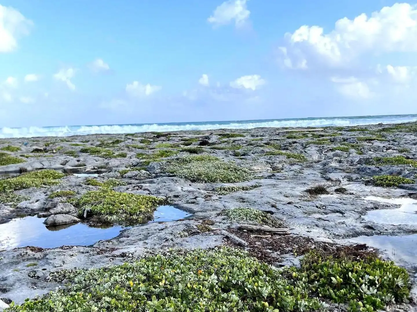 Coastal Paradise In South 艾库玛尔