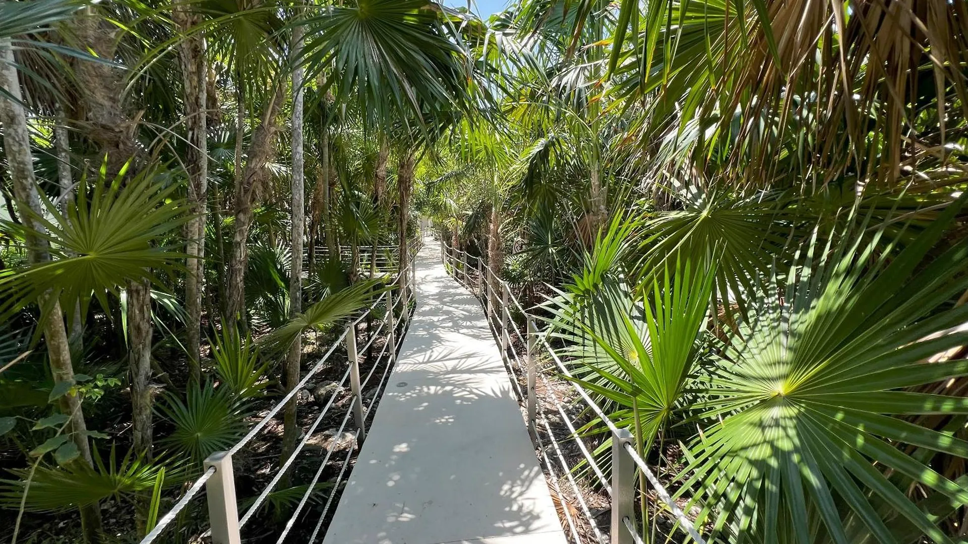 Coastal Paradise In South 艾库玛尔 0*,  墨西哥
