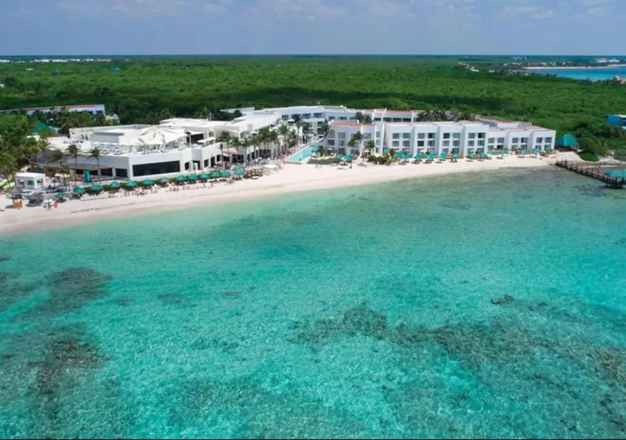 Coastal Paradise In South 艾库玛尔 公寓
